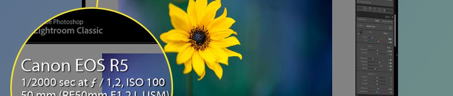 Lightroom August 2020 update